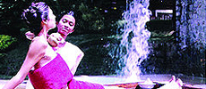 Ayurveda Treatment Centres