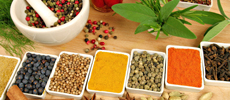 Ayurveda Treatments