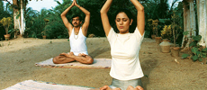 Yoga Teacher Training